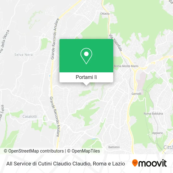 Mappa All Service di Cutini Claudio Claudio