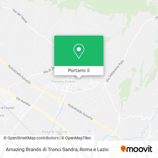 Mappa Amazing Brands di Tronci Sandra