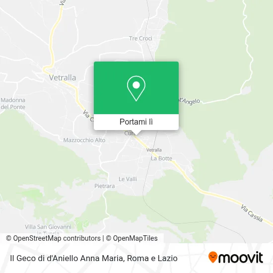 Mappa Il Geco di d'Aniello Anna Maria
