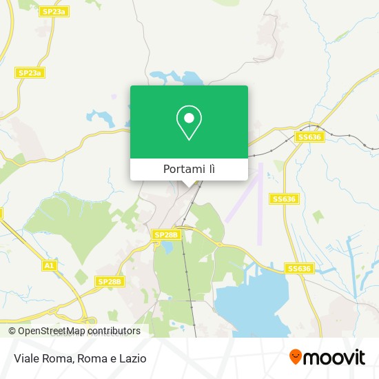 Mappa Viale Roma