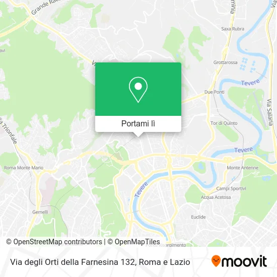 Mappa Via degli Orti della Farnesina 132