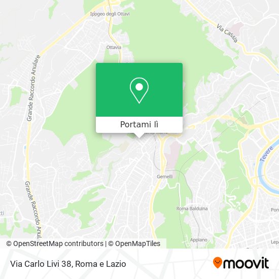 Mappa Via Carlo Livi 38