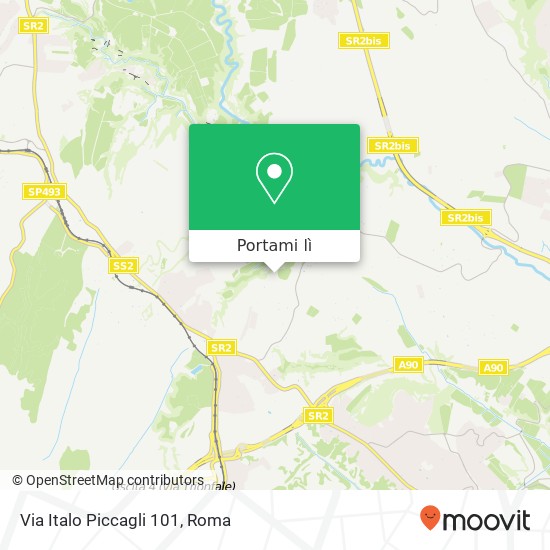 Mappa Via Italo Piccagli 101