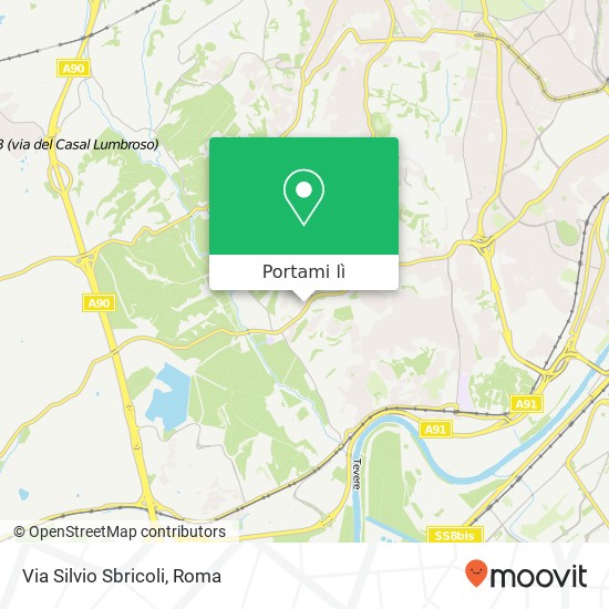 Mappa Via Silvio Sbricoli