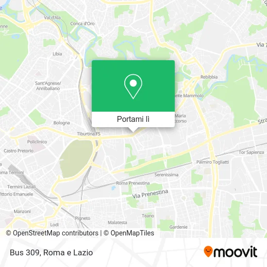 Mappa Bus 309