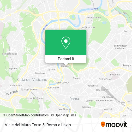 Mappa Viale del Muro Torto 5