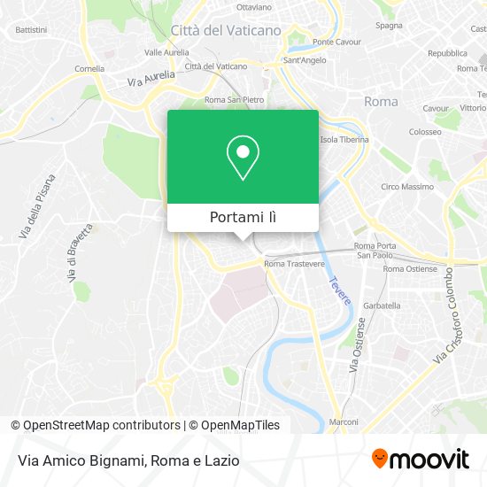 Mappa Via Amico Bignami