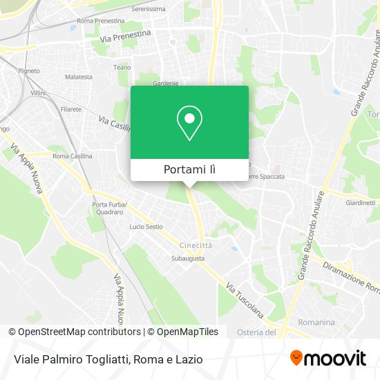 Mappa Viale Palmiro Togliatti