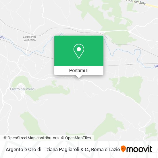 Mappa Argento e Oro di Tiziana Pagliaroli & C.