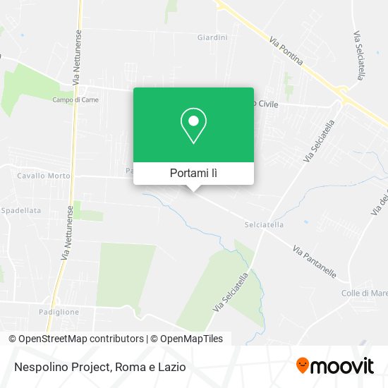 Mappa Nespolino Project