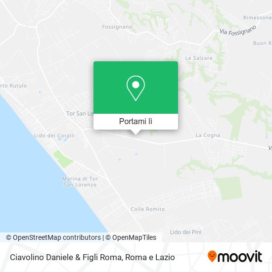 Mappa Ciavolino Daniele & Figli Roma