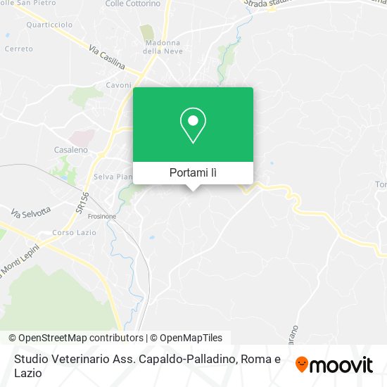 Mappa Studio Veterinario Ass. Capaldo-Palladino