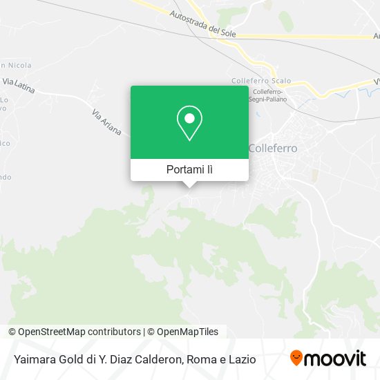 Mappa Yaimara Gold di Y. Diaz Calderon