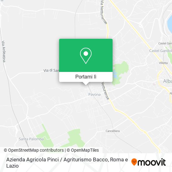 Mappa Azienda Agricola Pinci / Agriturismo Bacco