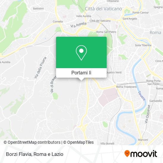 Mappa Borzi Flavia