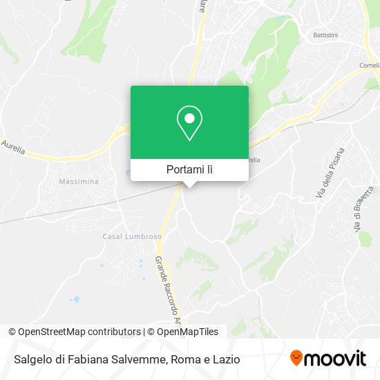 Mappa Salgelo di Fabiana Salvemme