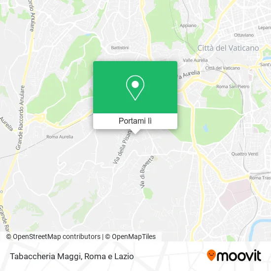 Mappa Tabaccheria Maggi