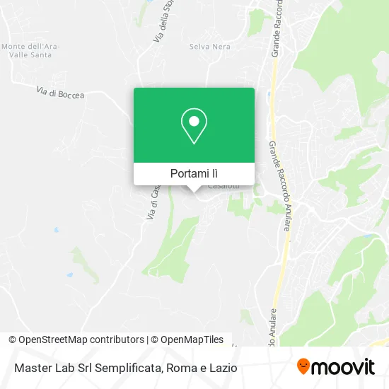 Mappa Master Lab Srl Semplificata