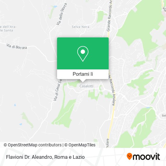 Mappa Flavioni Dr. Aleandro