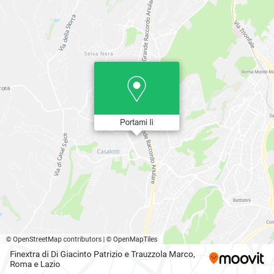Mappa Finextra di Di Giacinto Patrizio e Trauzzola Marco