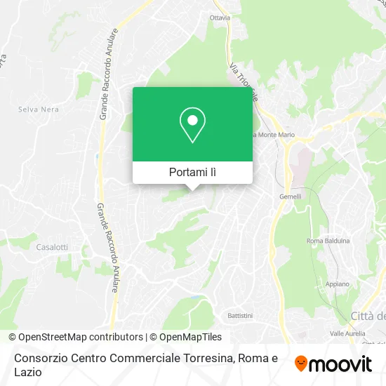 Mappa Consorzio Centro Commerciale Torresina