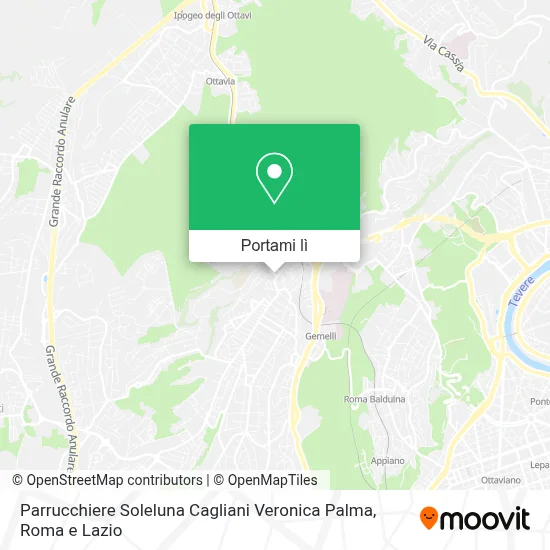 Mappa Parrucchiere Soleluna Cagliani Veronica Palma