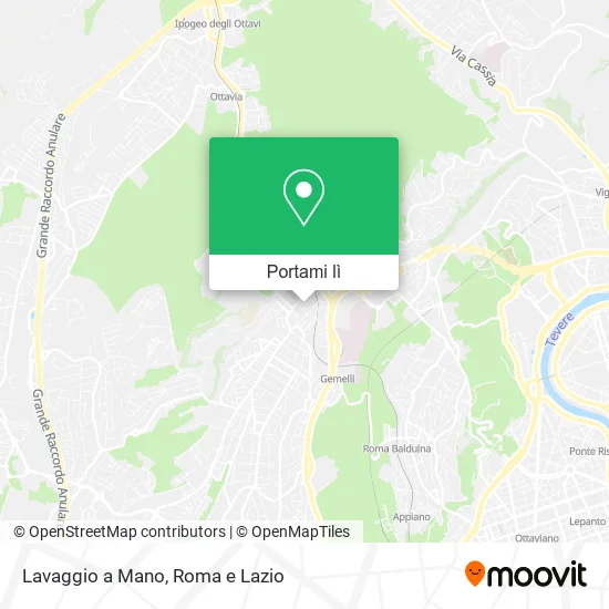 Mappa Lavaggio a Mano