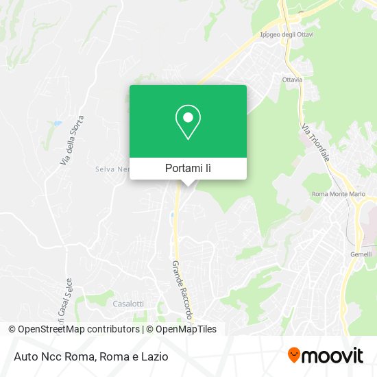 Mappa Auto Ncc Roma