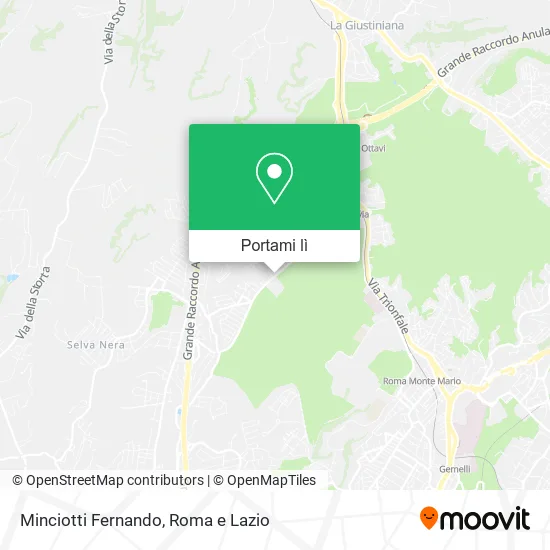 Mappa Minciotti Fernando