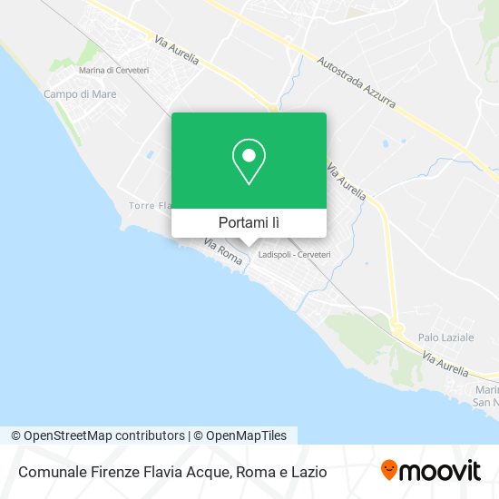 Mappa Comunale Firenze Flavia Acque