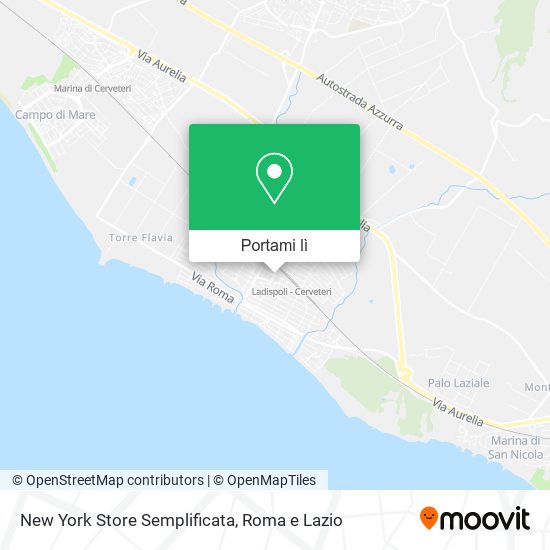 Mappa New York Store Semplificata