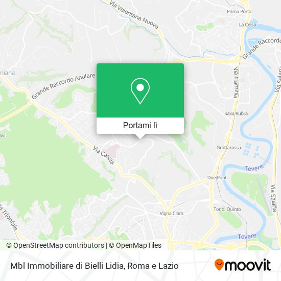 Mappa Mbl Immobiliare di Bielli Lidia