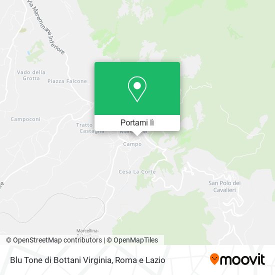 Mappa Blu Tone di Bottani Virginia