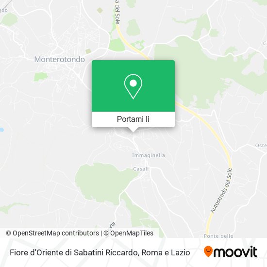 Mappa Fiore d'Oriente di Sabatini Riccardo