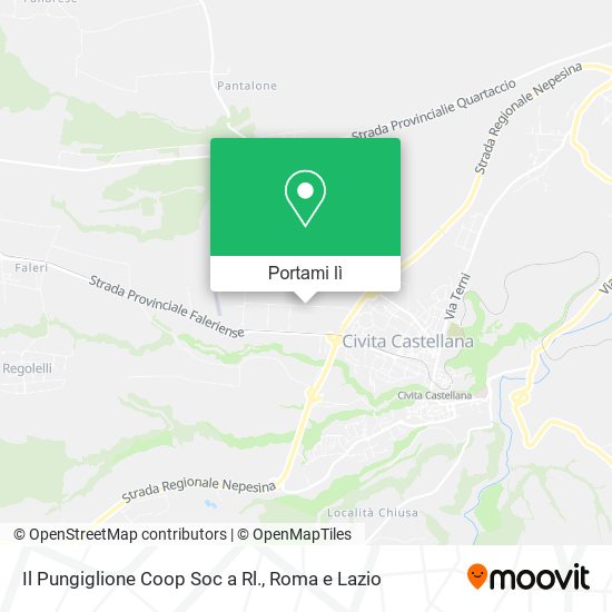 Mappa Il Pungiglione Coop Soc a Rl.