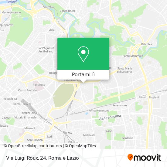 Mappa Via Luigi Roux, 24