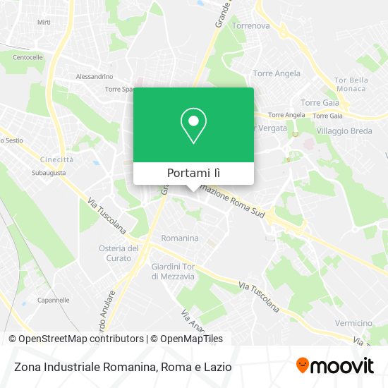Mappa Zona Industriale Romanina
