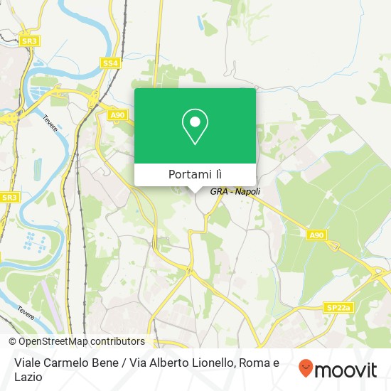 Mappa Viale Carmelo Bene / Via Alberto Lionello
