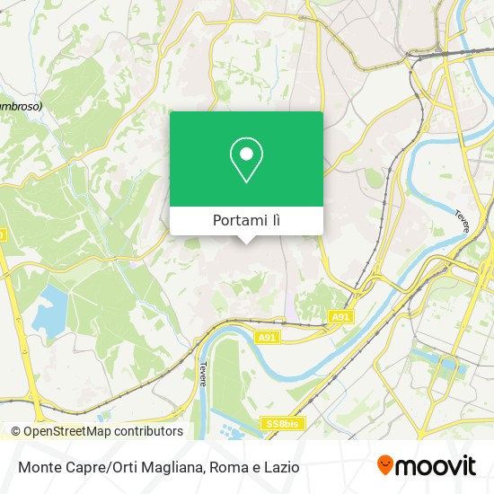 Mappa Monte Capre/Orti Magliana