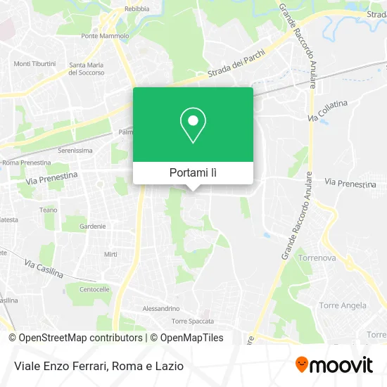 Mappa Viale Enzo Ferrari