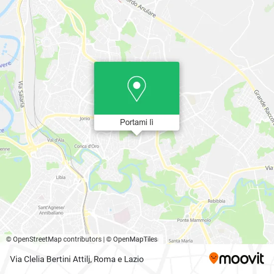 Mappa Via Clelia Bertini Attilj
