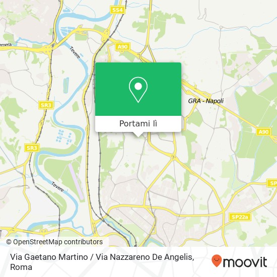 Mappa Via Gaetano Martino / Via Nazzareno De Angelis