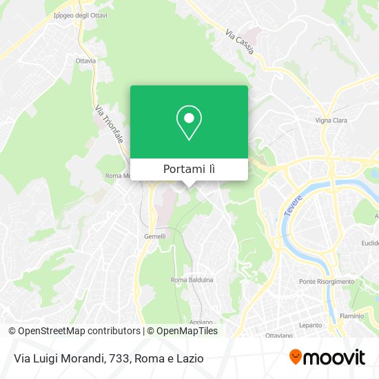 Mappa Via Luigi Morandi, 733