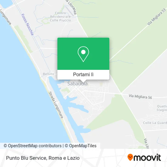 Mappa Punto Blu Service