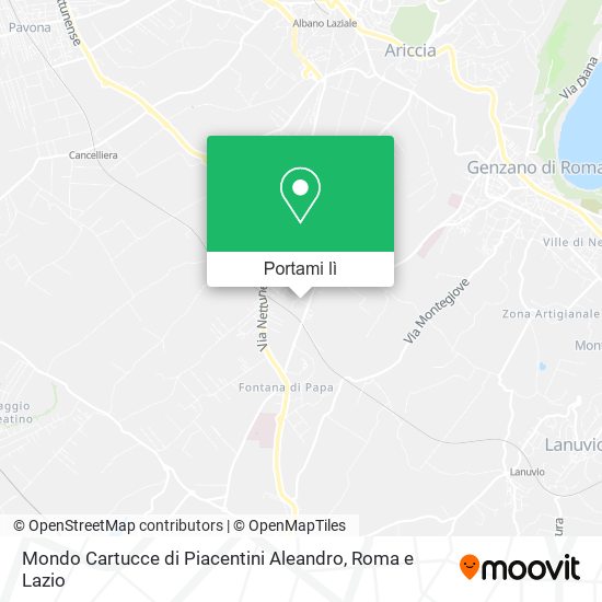 Mappa Mondo Cartucce di Piacentini Aleandro