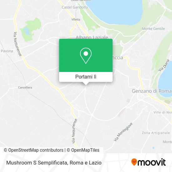 Mappa Mushroom S Semplificata