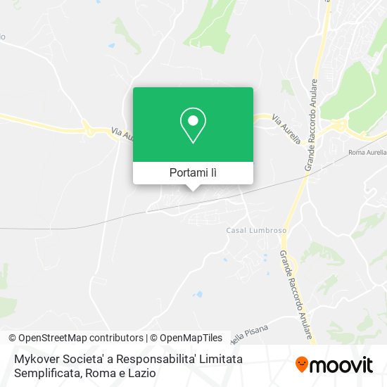 Mappa Mykover Societa' a Responsabilita' Limitata Semplificata