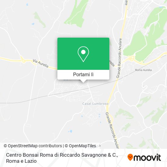 Mappa Centro Bonsai Roma di Riccardo Savagnone & C.