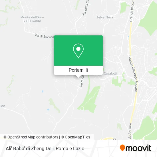 Mappa Ali' Baba' di Zheng Deli