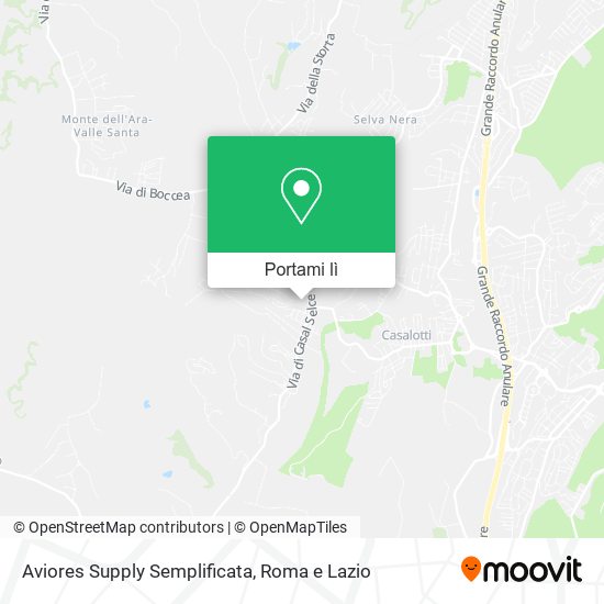 Mappa Aviores Supply Semplificata